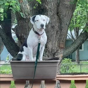 Meet your Posher, Savannah